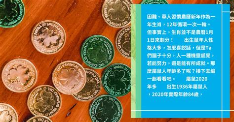 鼠年|屬鼠出生年份/幾多歲？屬鼠性格特徵+生肖配對+2024。